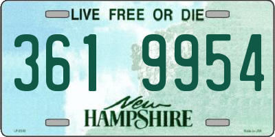 NH license plate 3619954