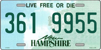 NH license plate 3619955