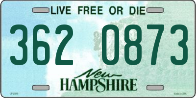 NH license plate 3620873
