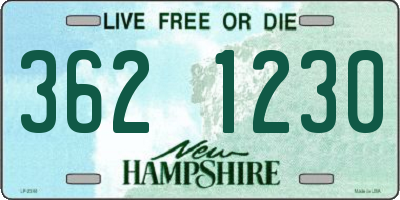 NH license plate 3621230