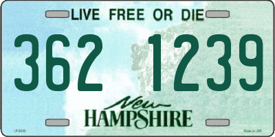 NH license plate 3621239