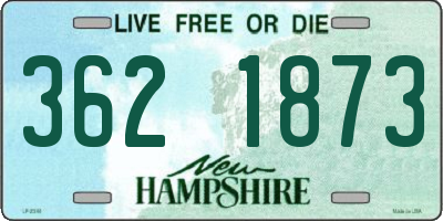 NH license plate 3621873