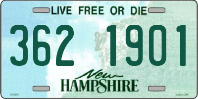 NH license plate 3621901