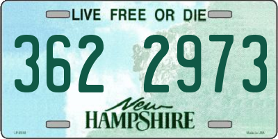NH license plate 3622973