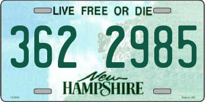 NH license plate 3622985