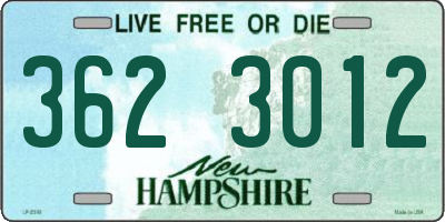NH license plate 3623012