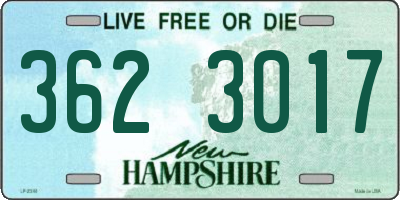 NH license plate 3623017