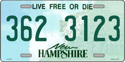 NH license plate 3623123