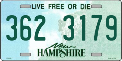 NH license plate 3623179