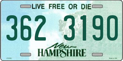NH license plate 3623190