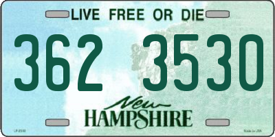 NH license plate 3623530