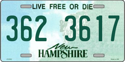 NH license plate 3623617