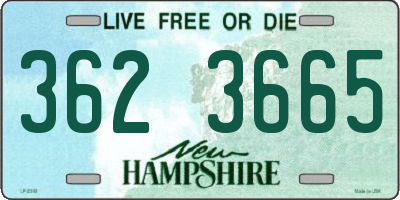 NH license plate 3623665