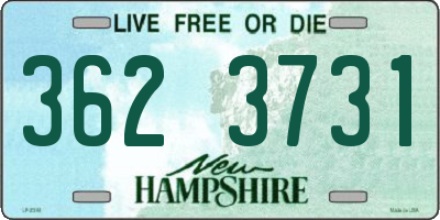 NH license plate 3623731