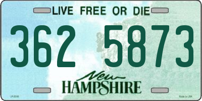 NH license plate 3625873