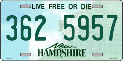 NH license plate 3625957