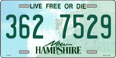 NH license plate 3627529