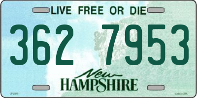 NH license plate 3627953
