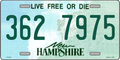 NH license plate 3627975