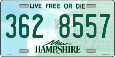 NH license plate 3628557