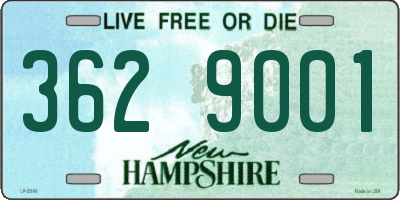 NH license plate 3629001