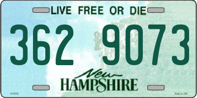 NH license plate 3629073