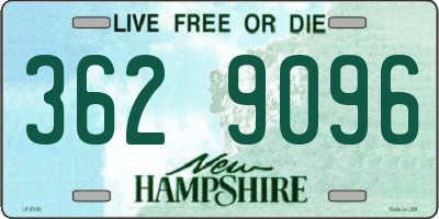 NH license plate 3629096