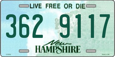 NH license plate 3629117