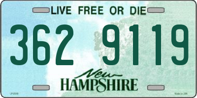 NH license plate 3629119