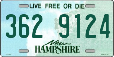 NH license plate 3629124