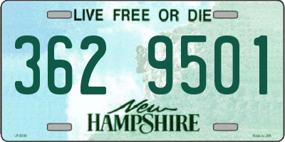 NH license plate 3629501