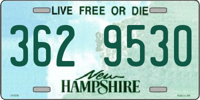 NH license plate 3629530