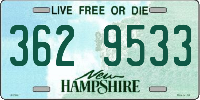 NH license plate 3629533