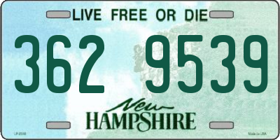 NH license plate 3629539