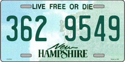 NH license plate 3629549