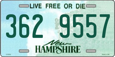NH license plate 3629557