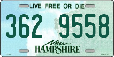 NH license plate 3629558