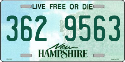 NH license plate 3629563