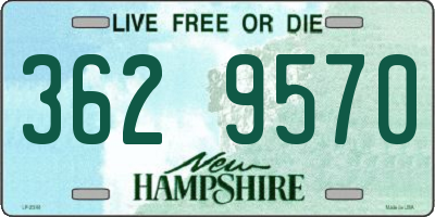 NH license plate 3629570