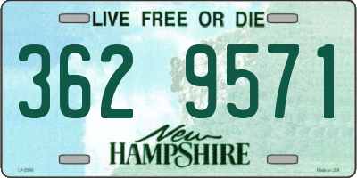 NH license plate 3629571