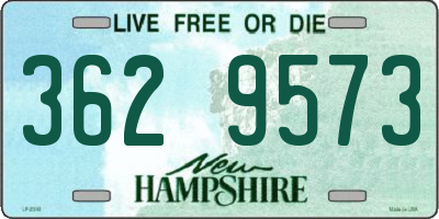 NH license plate 3629573