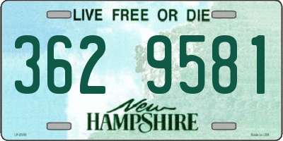 NH license plate 3629581