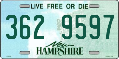 NH license plate 3629597