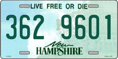 NH license plate 3629601