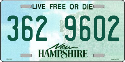 NH license plate 3629602