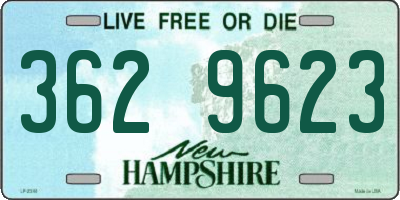NH license plate 3629623