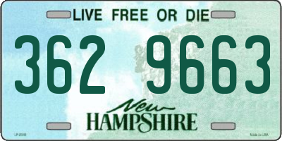 NH license plate 3629663