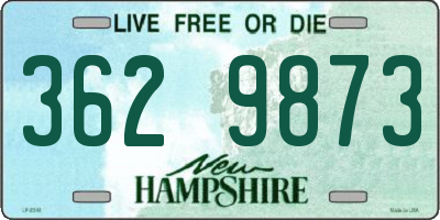 NH license plate 3629873