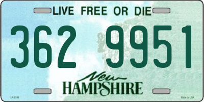 NH license plate 3629951