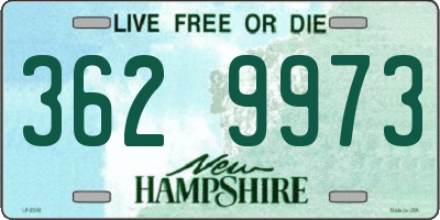 NH license plate 3629973
